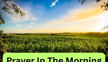 Prayer In The Morning