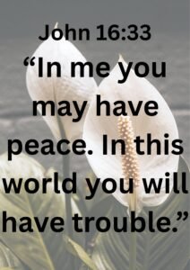 peace