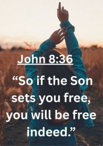FREEDOM