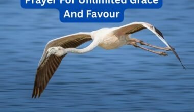 Prayer For Unlimited Grace And Favour
